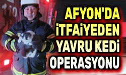 İtfaiyeden yavru kedi operasyonu