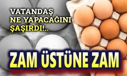 Yumurtaya zam üstüne zam