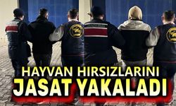 JASAT, hayvan hırsızlarını yakaladı