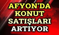 Afyon'da konut satışları arttı