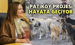 Afyon'da Patiköy Projesi hayat geçiyor