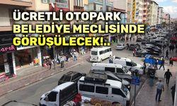 Ücretli otopark konusu Belediye Meclisine geliyor!..