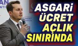 Beytullah Karataş: Asgari ücret, açlık sınırında