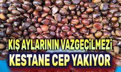 Kış aylarının vazgeçilmezi kestane cep yakıyor