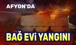 Afyon'da bağ evi yangını!..