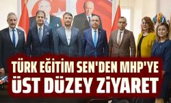 Türk Eğitim Sen'den MHP'ye üst düzey ziyaret