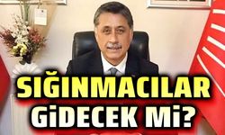 Yalçın Görgöz: Sığınmacılar gidecek mi?