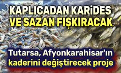 Kaplıcada karides, sazan yetiştirilecek