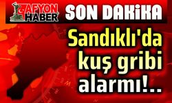 Afyonkarahisar Sandıklı'da kuş gribi alarmı!..