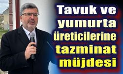 Ali Özkaya'dan tavuk üreticilerine tazminat müjdesi