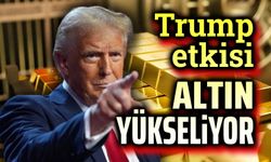 Trump etkisi!.. Altın yükseliyor...