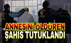 Annesini öldüren şahıs tutuklandı!..