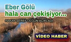 Hakan Şeref Olgun: Eber Gölü, hala can çekişiyor