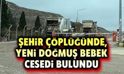 Şehir çöplüğünde yeni doğmuş bebek cesedi bulundu