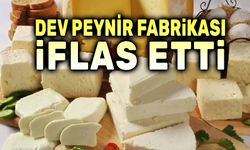 Dev peynir fabrikası iflas etti