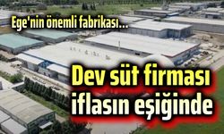 Dev süt firması iflasın eşiğinde