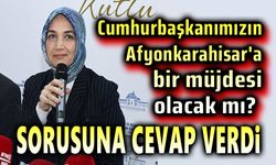 Ömer Elçi sordu, Vali Yiğitaşı cevap verdi