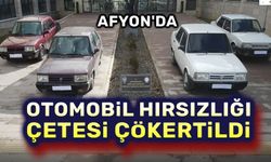 Afyon'da oto hırsızlığı çetesi çökertildi