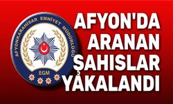 Aranması bulunan hayvan hırsızı yakalandı