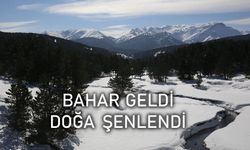 Bahar geldi, doğa şenlendi!..