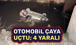 Otomobil çaya uçtu; 4 yaralı