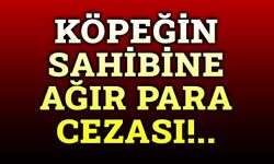 Köpeğin sahibine ceza