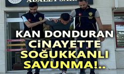 Kan donduran cinayette sanıktan mahkemede soğukkanlı savunma