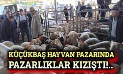 Küçükbaş hayvan pazarında pazarlıklar kızıştı!..