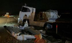 Tır devrildi, yüzlerce canlı balık telef oldu