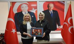 AK Partili kadınlardan MHP'li kadınlara ziyaret