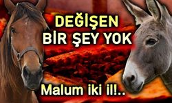 Yine skandal: Vatandaşa at eşek eti yedirdiler