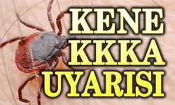Kene uyarısı: KKKA'ya karşı tedbirli olun!..