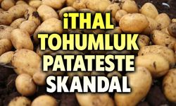İthal tohumluk patateste skandal