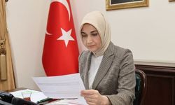 Vali Yiğitbaşı, Bakan Yerlikaya ile video konferans ile görüştü