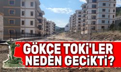Gökçe TOKİ'ler neden gecikti açıklaması