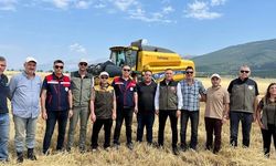 Afyon’da hububat hasadı başladı