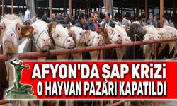 Afyon'da şap krizi, o hayvan pazarı kapatıldı!..