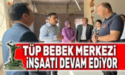 Tüp bebek merkezi inşaatı sürüyor