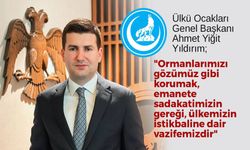 Ahmet Yiğit Yıldırım: Ülkü Ocakları olarak, orman yangınlarına karşı sahadayız