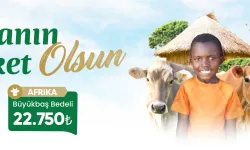 Bereket Derneği ile İyilik Zinciri Dünyanın Dört Bir Yanına Ulaşıyor