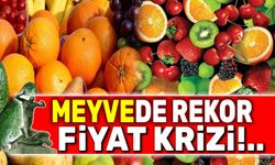 Meyvede rekor fiyat krizi!..