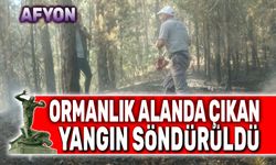 Afyon'da ormanlık alanda çıkan yangın söndürüldü