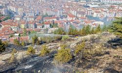 Hıdırlıkta çıkan yangın kısa sürede söndürüldü