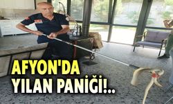 Afyonkarahisar'da yılan paniği!..