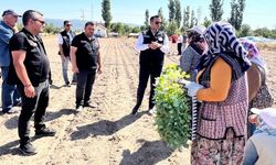 862 bin brokoli fidesi toprakla buluştu