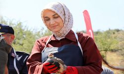 Büyükkalecik'te 400 keklik doğaya bırakıldı