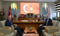 Afyon'daki sağlık yatırımları değerlendirildi