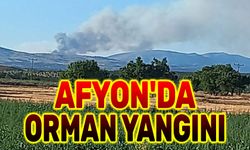 Afyon'da orman yangını