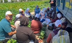 AK Partili Dilek Hanım Çengel: Tarlada izi olanın, harmanda sözü olur