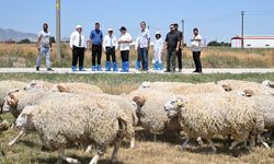 Mehmet Siper’den Eğitim, Araştırma ve Uygulama Çiftliğine ziyaret